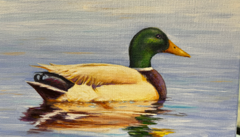 May Painting Duck 