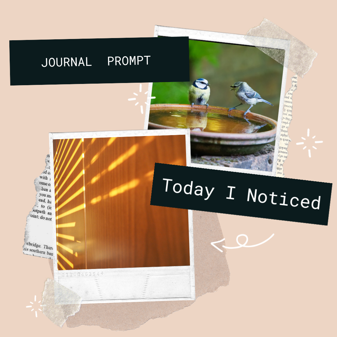 Journal Prompt 2