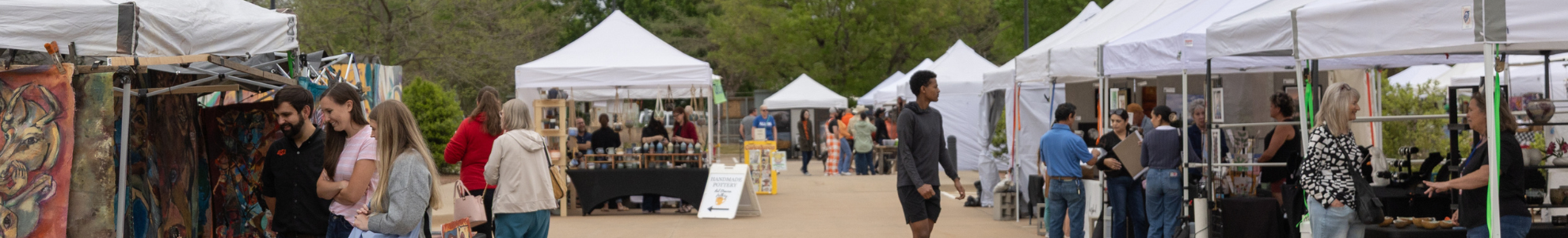 Arts Festival Website Image 1980 300 px