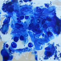 Meredith Roberts-Morris