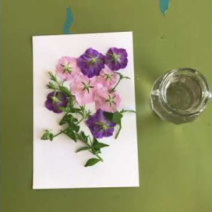 Hammer Pressed Flowers