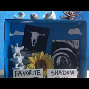 Favorite Artist Shadow Box