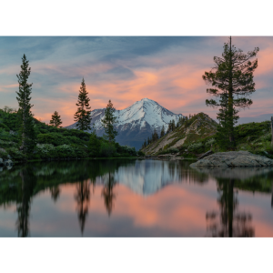 Darren Marshall - Photography