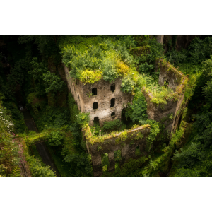 Jason Wallace - Photography 