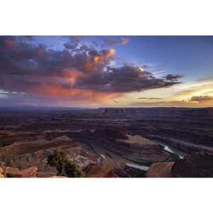 Joshua Steele - Photography 