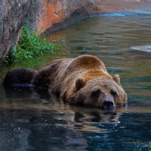 Matthew Montgomery, OK