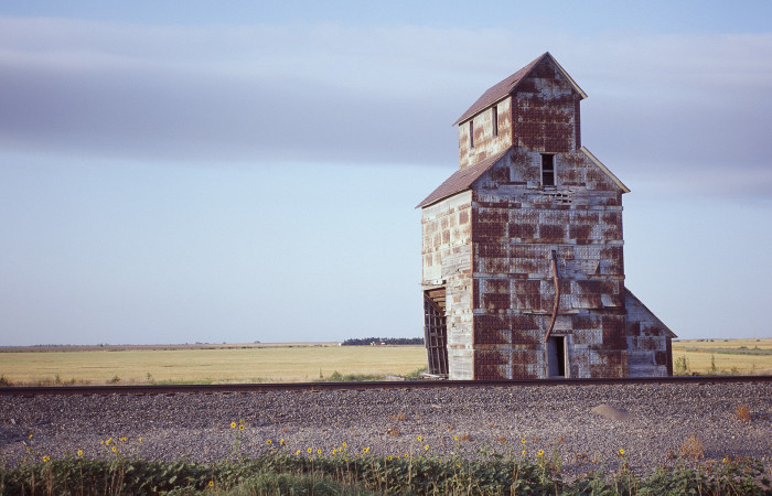 Kristin Schillaci, NM 