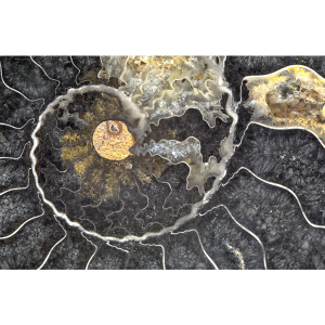 Ron Mellott - Photography/Digital Art