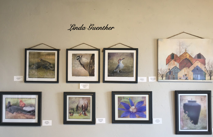 Linda Guenther